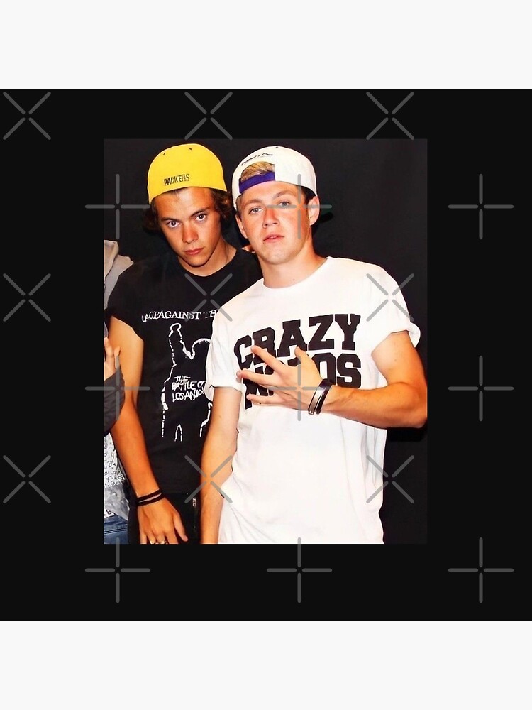 Harry & Niall Frat Boy Era Frat Boy Direction Harry And Niall, One Love On  Tour harry styles Poster for Sale by Bankulovaa