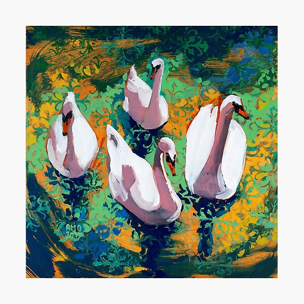 Four Swans Photographic Print