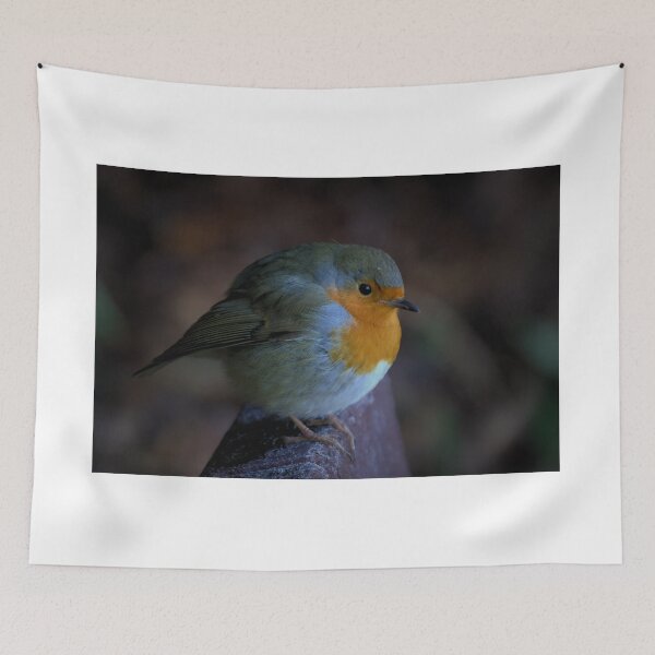Item preview, Robin Red Breast designed and sold by AlbaPhotography.