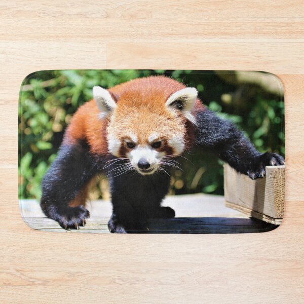 Item preview, Red Panda Dance designed and sold by Fearless-Fox.