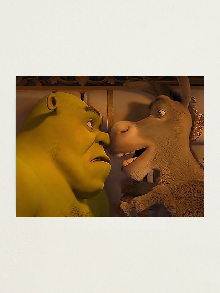 Shrek Meme Photographic Prints for Sale