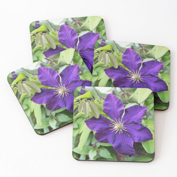 Item preview, Purple flower designed and sold by Lydia Planalp.