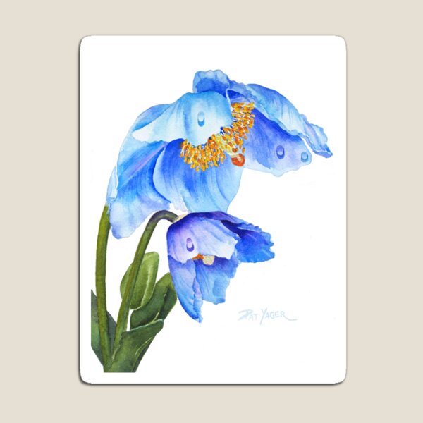 Twin Blue Poppies Magnet