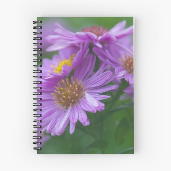 Item preview, Purple Aster designed and sold by KarenWoodArt.