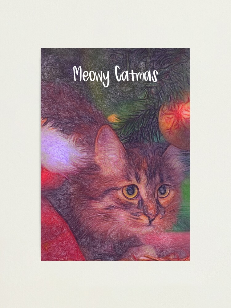 Thumbnail 1 of 3, Photographic Print, Meowy Catmas designed and sold by jouvaygifts.