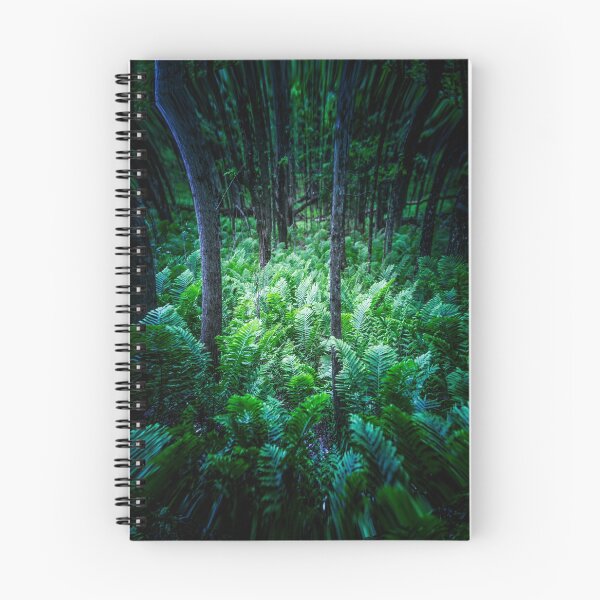 Item preview, Ferns in a Minnesota Forest designed and sold by Amy Louhela.