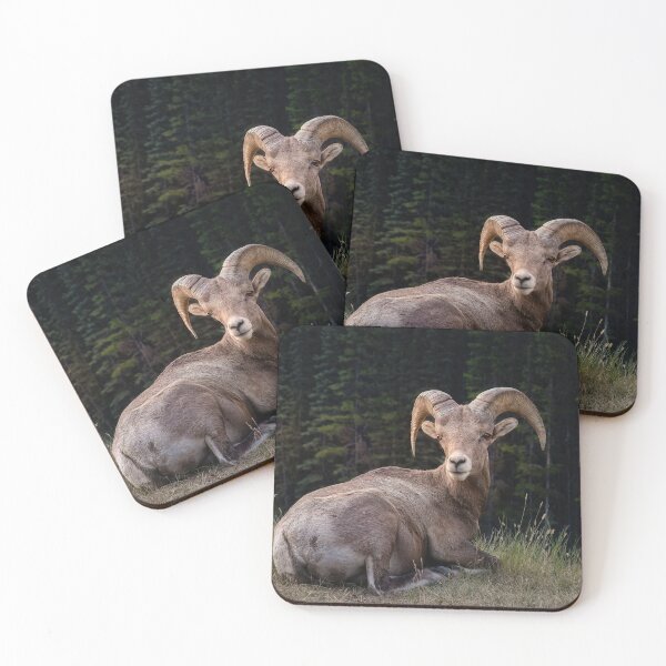 Item preview, Banff Big Horn Sheep designed and sold by nbrandsberg.