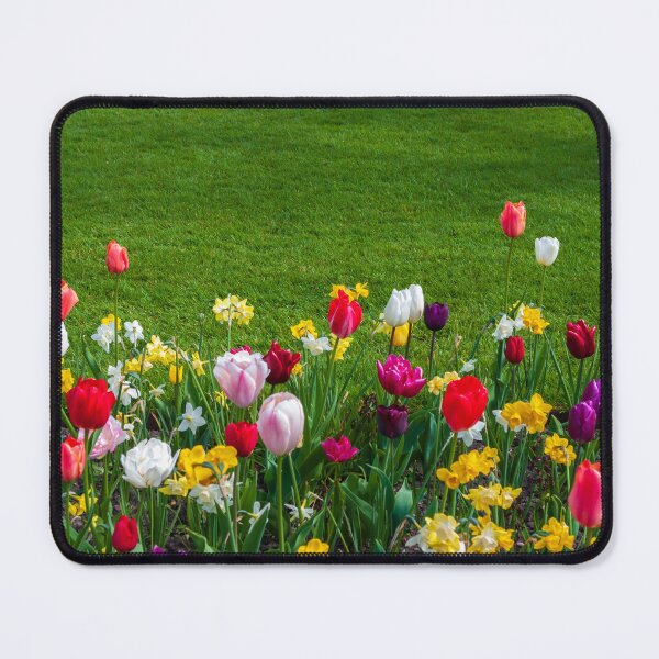 Item preview, Spring flowers in the garden designed and sold by LindaCooke.