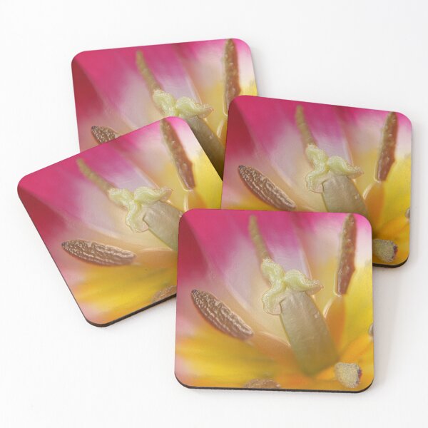 Item preview, Tulipa 'Ballade' AGM Tulip Lily-flowered Group April  Artistic filter applied to photo designed and sold by Chris Burrows.
