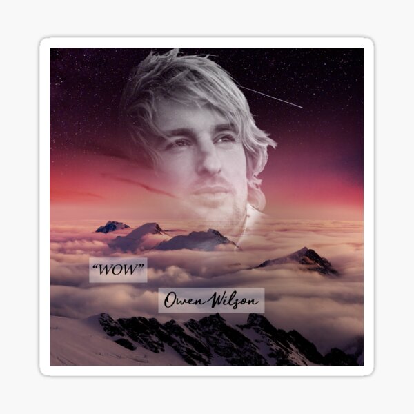 "WOW" Owen Wilson Sticker