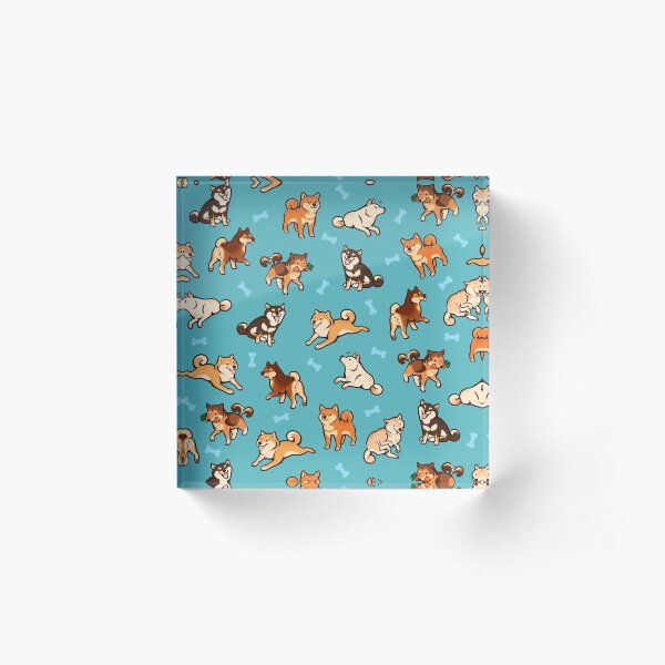 shibes in blue Acrylic Block