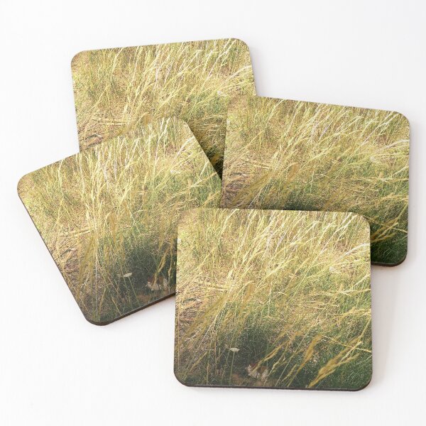 Item preview, DUST Cont'd designed and sold by Leajato Robinson.