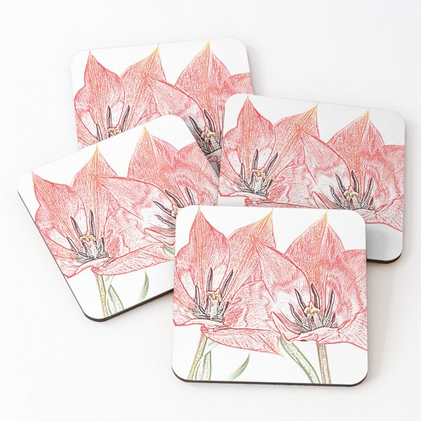 Item preview, Tulipa linifolia  Flax-leaved tulip  Miscellaneous tulip Artistic filter applied to photo designed and sold by Chris Burrows.