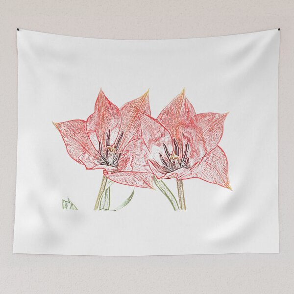 Item preview, Tulipa linifolia  Flax-leaved tulip  Miscellaneous tulip Artistic filter applied to photo designed and sold by Chris Burrows.