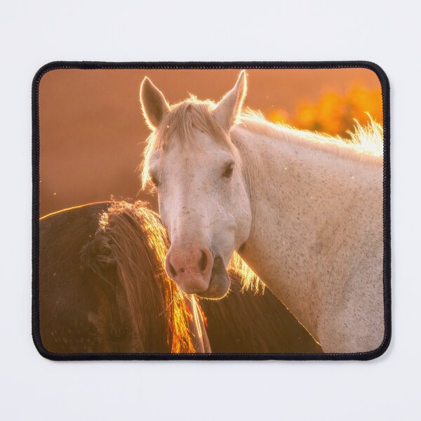 Item preview, Sunset Unicorn: A Magical Fantasy Artwork designed and sold by Vsaditya2020.