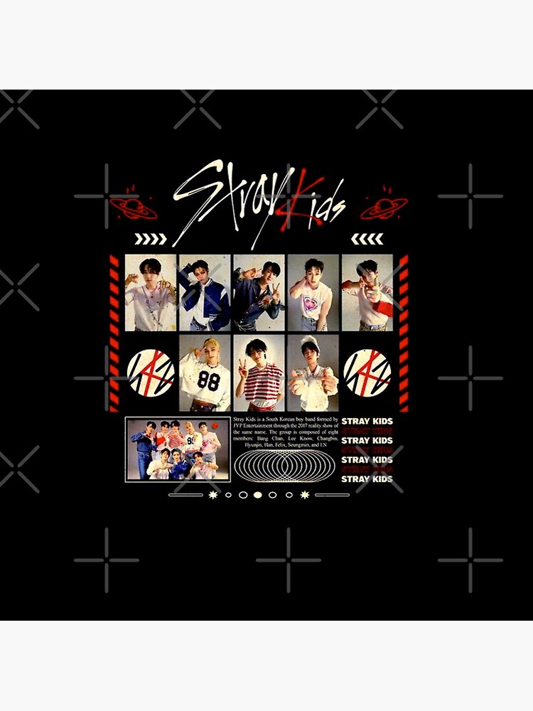 Stray Kids NOEASY Official Photocards (Chan LeeKnow Changbin Hyunjin Han  Felix S