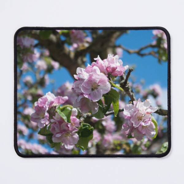 Item preview, English apple blossom in April designed and sold by LindaCooke.