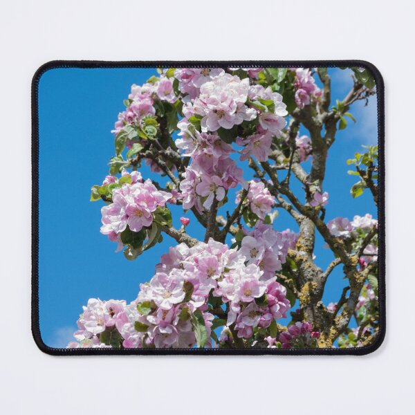 Item preview, English apple blossom in April designed and sold by LindaCooke.