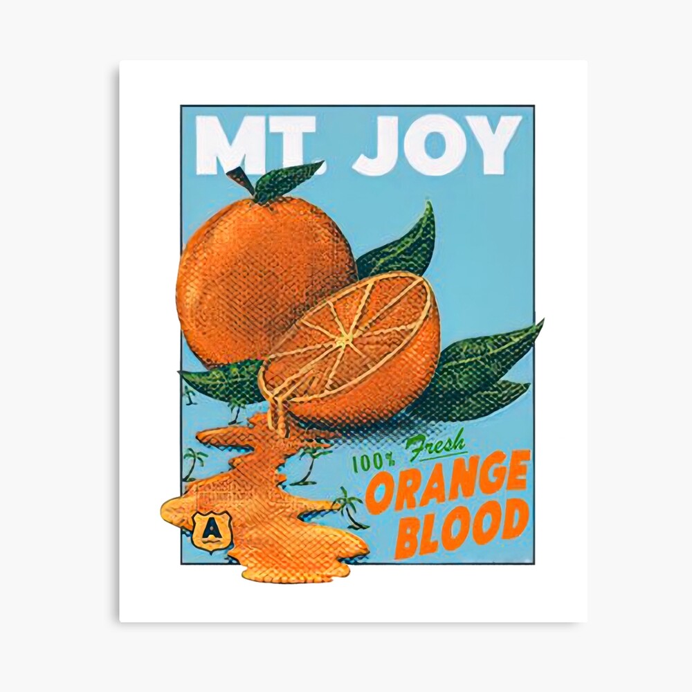 Mt Joy Orange Blood Mt Joy Merch Men Women Shirt Boy Girl , Photographic Print