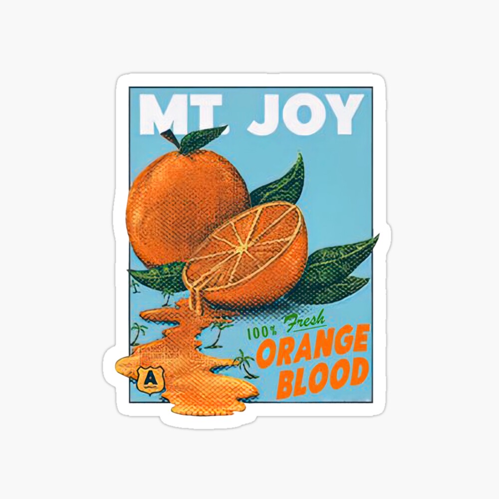 Mt Joy Orange Blood Mt Joy Merch Men Women Shirt Boy Girl , Photographic Print