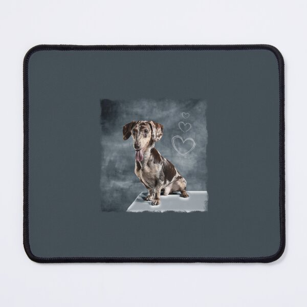 Item preview, Dapple Dachshund, Brown Dachshund, dachshund photo, My dachshund designed and sold by VELLTOdesign.