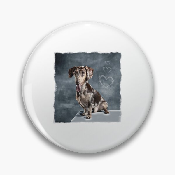 Item preview, Dapple Dachshund, Brown Dachshund, dachshund photo, My dachshund designed and sold by VELLTOdesign.