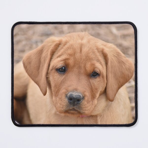 Item preview, Puppy Cuteness designed and sold by athousandwordss.