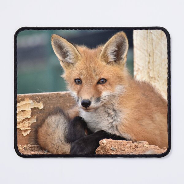 Item preview, Red Fox Kit designed and sold by athousandwordss.