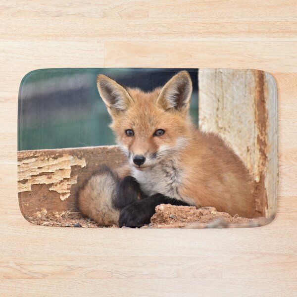 Item preview, Red Fox Kit designed and sold by athousandwordss.
