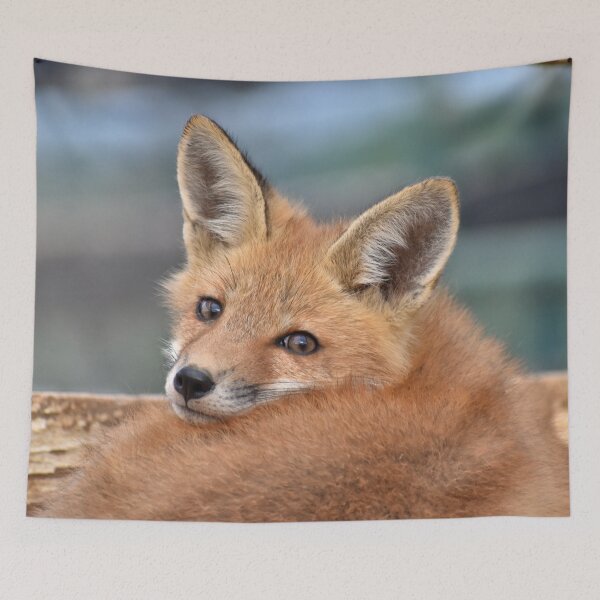 Item preview, Red Fox Kit designed and sold by athousandwordss.