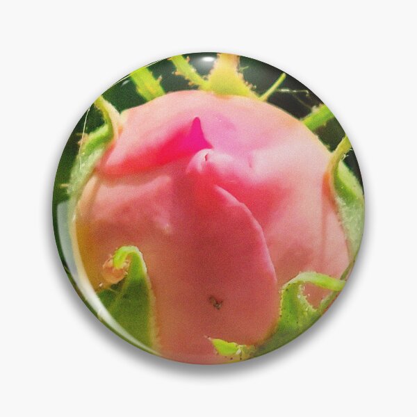 Item preview, Rose Bud Photo designed and sold by Dilyana Rumenova - Shantabella.