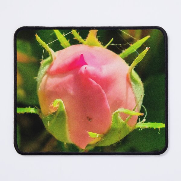 Item preview, Rose Bud Photo designed and sold by Dilyana Rumenova - Shantabella.