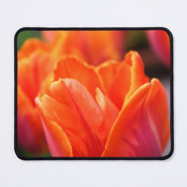 Item preview, Princess Irene Tulips designed and sold by LindaCooke.