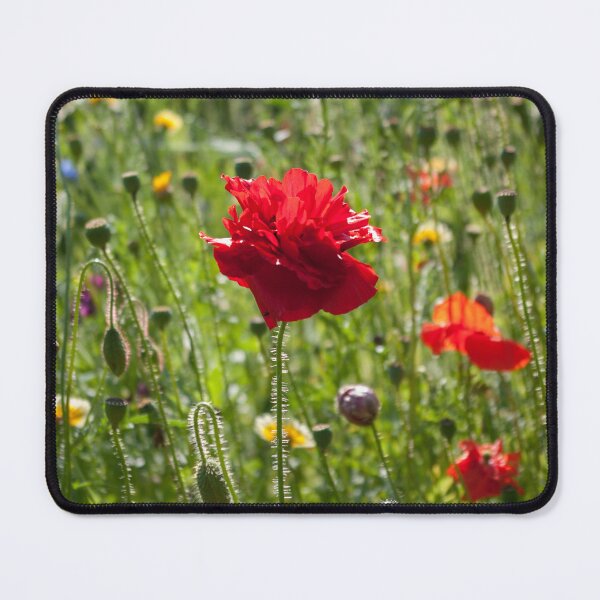Item preview, Red poppy in flower meadow designed and sold by LindaCooke.