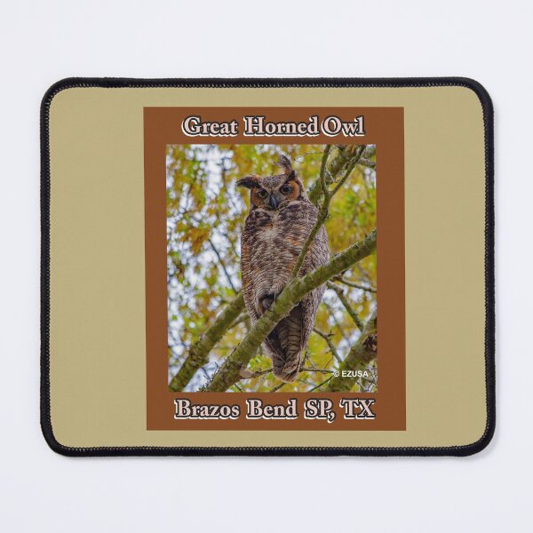 Item preview, Great Horned Owl, Brazos Bend State Park, Texas designed and sold by MoreEZUSA-Here.