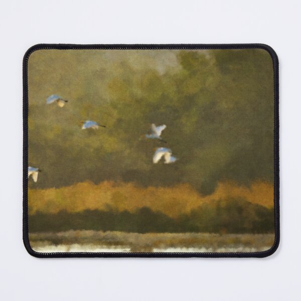 Item preview, Albatrosses above the Sea designed and sold by Paint Dream Style.