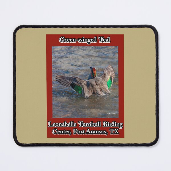Item preview, Green-winged Teal, Port Aransas, Texas designed and sold by MoreEZUSA-Here.