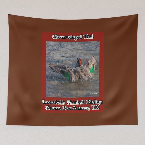 Item preview, Green-winged Teal, Port Aransas, Texas designed and sold by MoreEZUSA-Here.