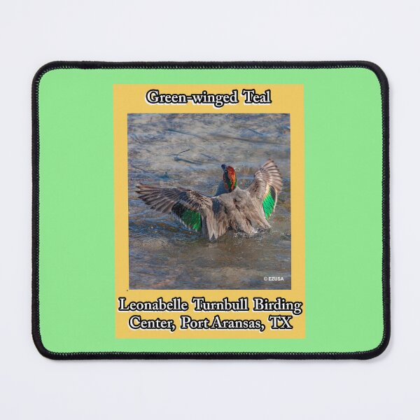Item preview, Green-winged Teal, Port Aransas, Texas designed and sold by MoreEZUSA-Here.