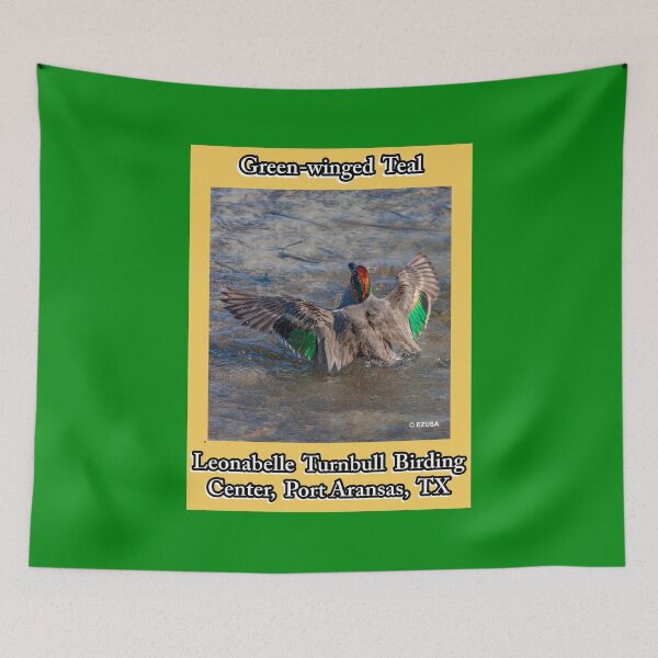Item preview, Green-winged Teal, Port Aransas, Texas designed and sold by MoreEZUSA-Here.