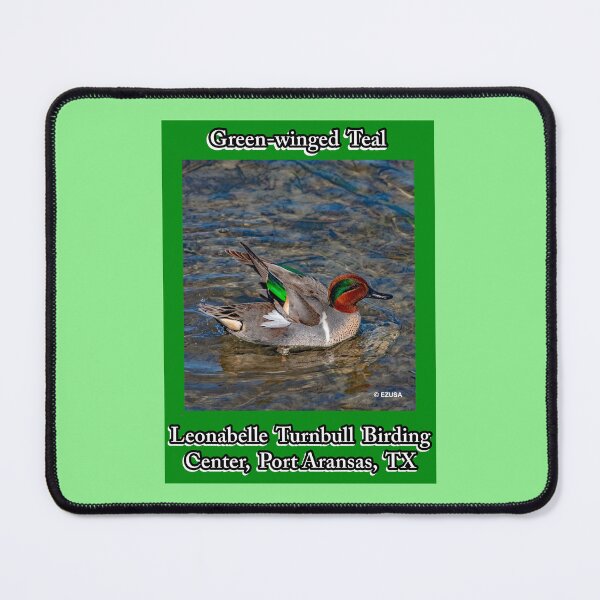 Item preview, Green-winged Teal, Leonabelle Turnbull Birding Center, Port Aransas, Texas designed and sold by MoreEZUSA-Here.