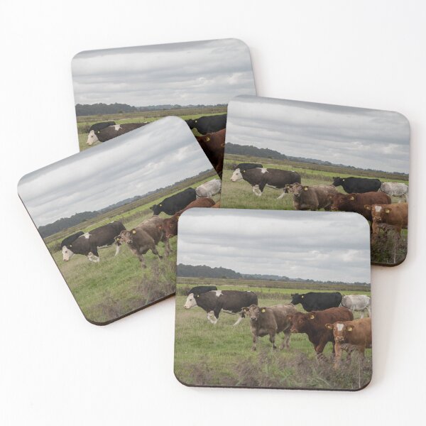 Item preview, Cattle in Sussex designed and sold by GingerMan2550.