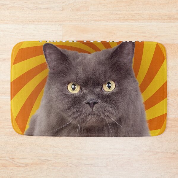 Item preview, Shocked Cat Finds Out You Are Not Real Mom designed and sold by gleefulme.