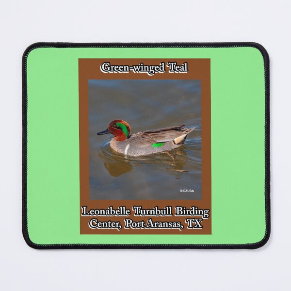 Item preview, Green-winged Teal, Leonabelle Turnbull Birding Center, Port Aransas, Texas designed and sold by MoreEZUSA-Here.
