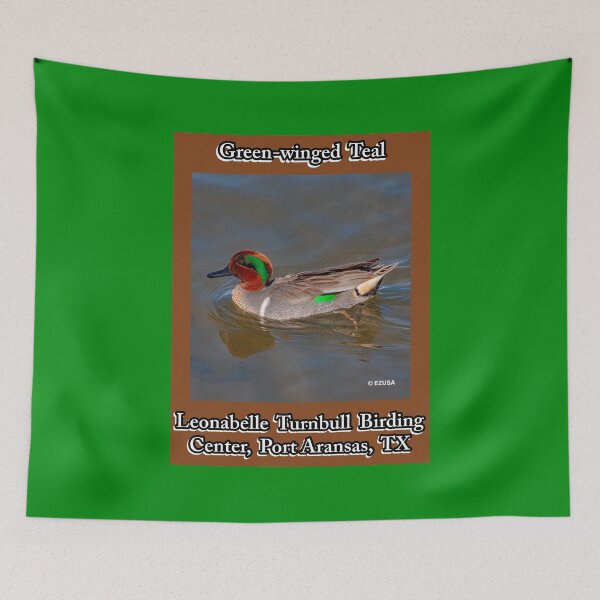 Item preview, Green-winged Teal, Leonabelle Turnbull Birding Center, Port Aransas, Texas designed and sold by MoreEZUSA-Here.
