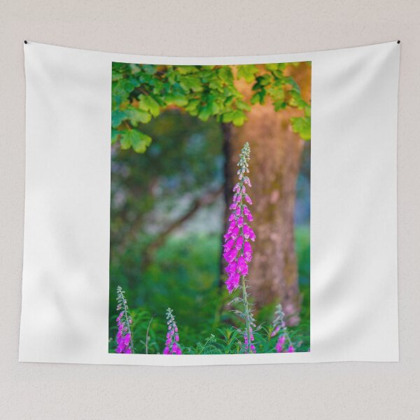 Item preview, Foxgloves in a Peak District Woodland designed and sold by Geoff Shoults.