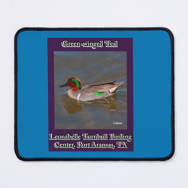 Item preview, Green-winged Teal, Leonabelle Turnbull Birding Center, Port Aransas, Texas designed and sold by MoreEZUSA-Here.