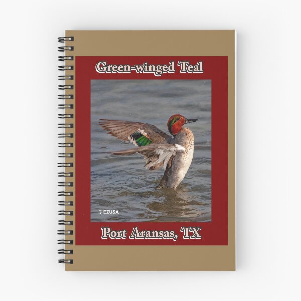 Item preview, Green-winged Teal, Leonabelle Turnbull Birding Center, Port Aransas, Texas designed and sold by MoreEZUSA-Here.
