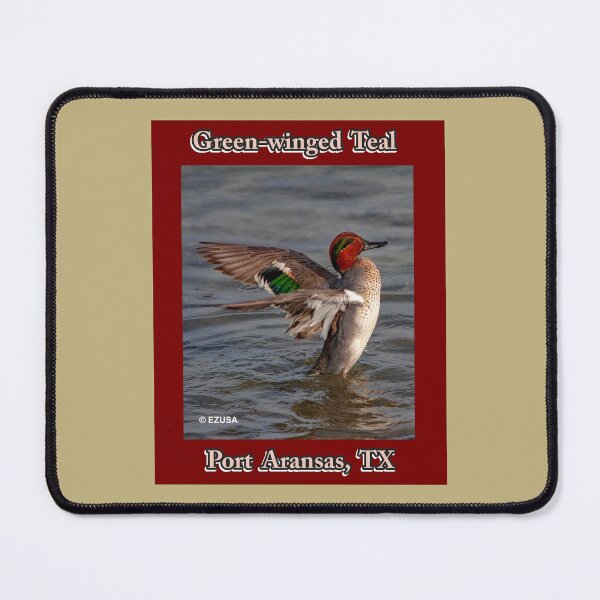 Item preview, Green-winged Teal, Leonabelle Turnbull Birding Center, Port Aransas, Texas designed and sold by MoreEZUSA-Here.