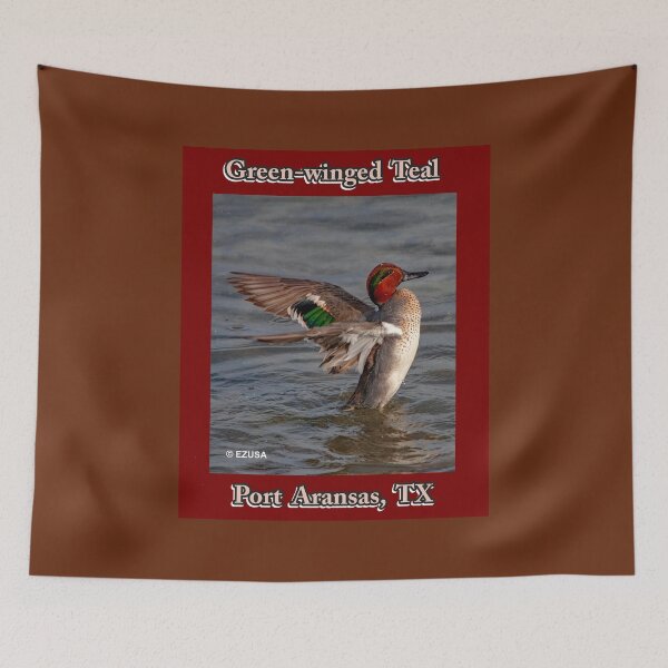 Item preview, Green-winged Teal, Leonabelle Turnbull Birding Center, Port Aransas, Texas designed and sold by MoreEZUSA-Here.